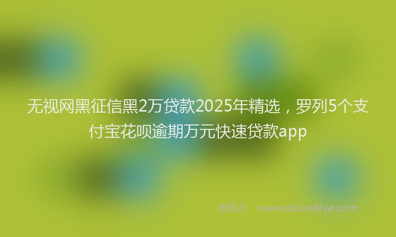 无视网黑征信黑2万贷款2025年精选，罗列5个支付宝花呗逾期万元快速贷款app