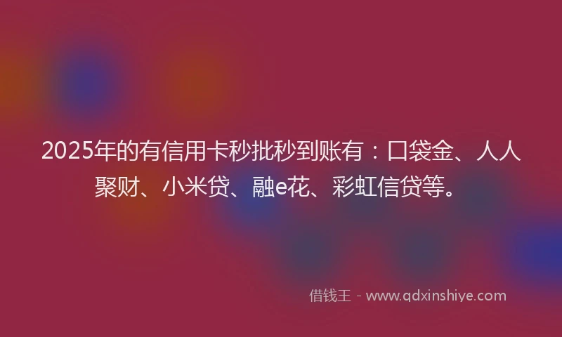 2025年的有信用卡秒批秒到账有：口袋金、人人聚财、小米贷、融e花、彩虹信贷等。