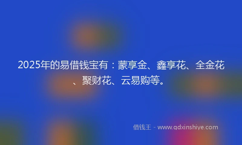 2025年的易借钱宝有：蒙享金、鑫享花、全金花、聚财花、云易购等。