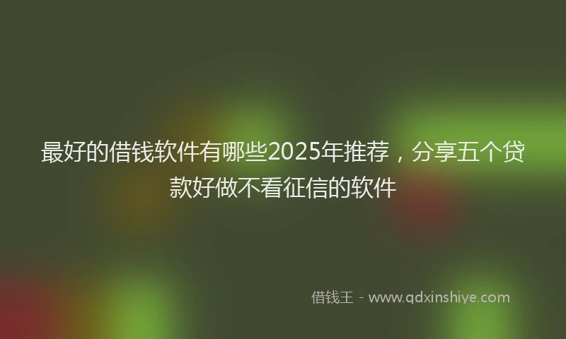 最好的借钱软件有哪些2025年推荐，分享五个贷款好做不看征信的软件