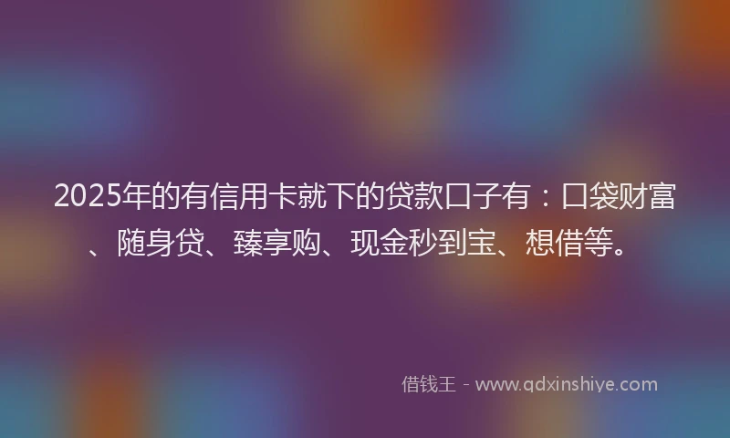 2025年的有信用卡就下的贷款口子有：口袋财富、随身贷、臻享购、现金秒到宝、想借等。
