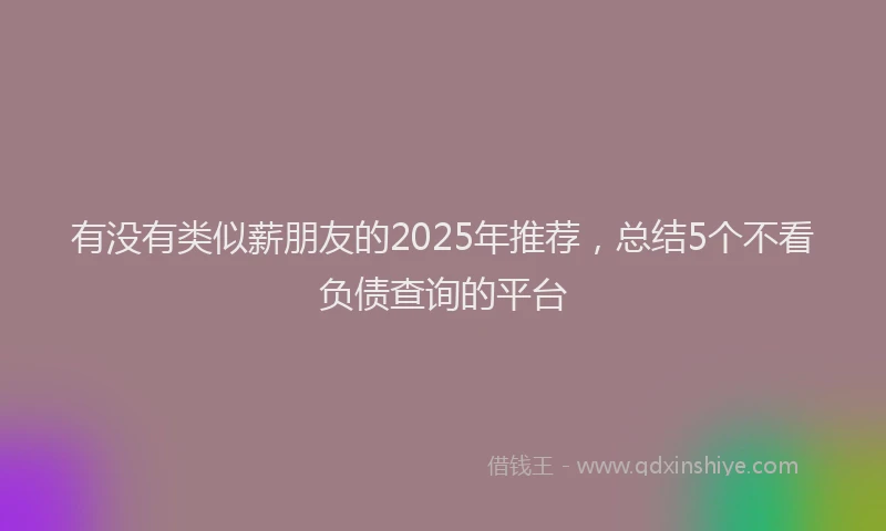 有没有类似薪朋友的2025年推荐，总结5个不看负债查询的平台