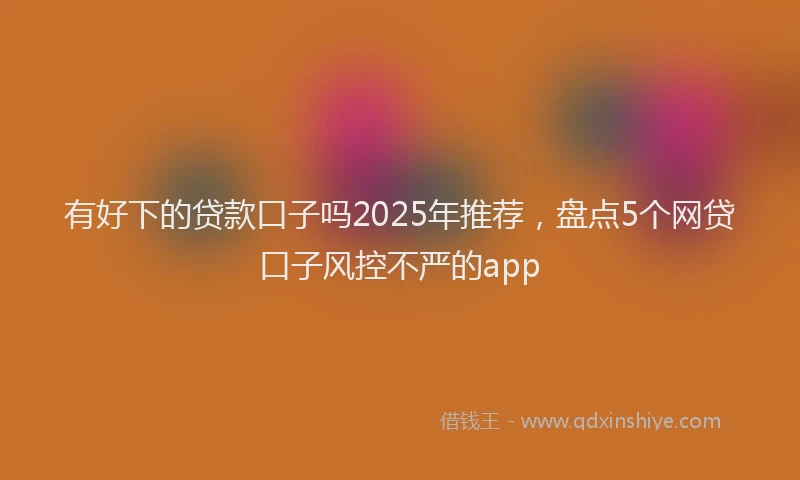 有好下的贷款口子吗2025年推荐，盘点5个网贷口子风控不严的app