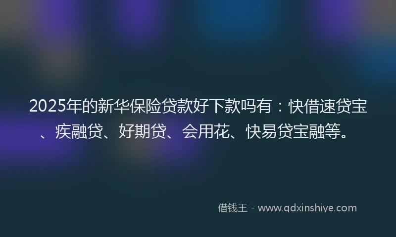 2025年的新华保险贷款好下款吗有：快借速贷宝、疾融贷、好期贷、会用花、快易贷宝融等。