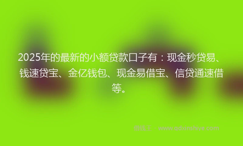 2025年的最新的小额贷款口子有：现金秒贷易、钱速贷宝、金亿钱包、现金易借宝、信贷通速借等。