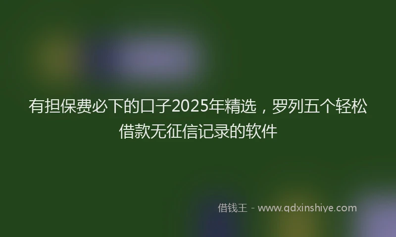 有担保费必下的口子2025年精选，罗列五个轻松借款无征信记录的软件
