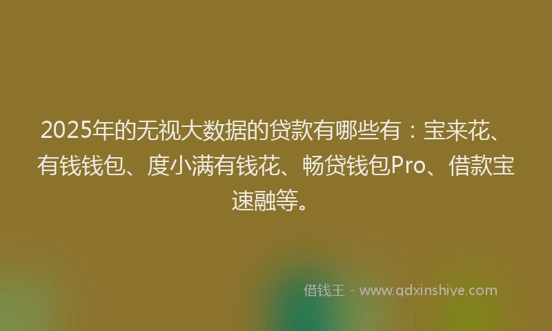 2025年的无视大数据的贷款有哪些有：宝来花、有钱钱包、度小满有钱花、畅贷钱包Pro、借款宝速融等。
