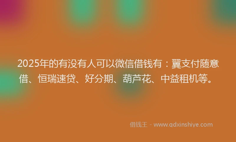2025年的有没有人可以微信借钱有：翼支付随意借、恒瑞速贷、好分期、葫芦花、中益租机等。