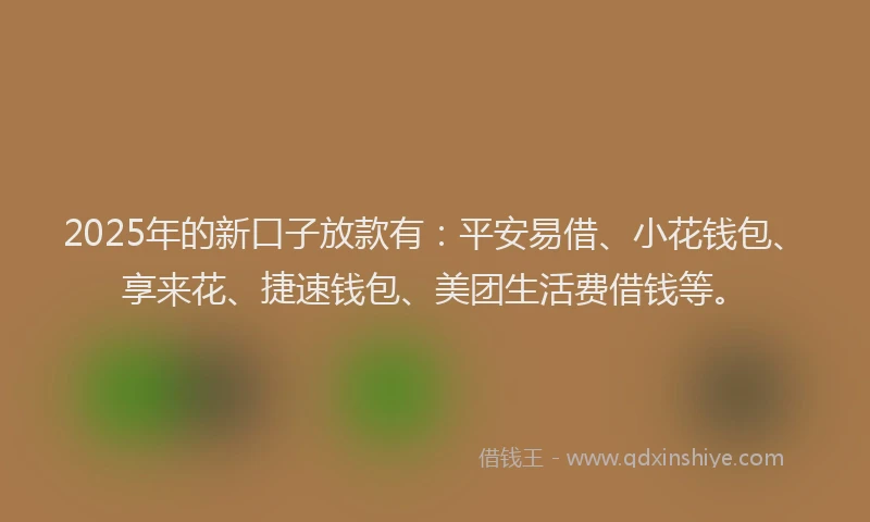 2025年的新口子放款有：平安易借、小花钱包、享来花、捷速钱包、美团生活费借钱等。