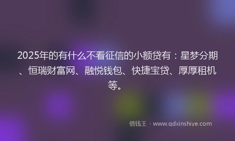 2025年的有什么不看征信的小额贷有：星梦分期、恒瑞财富网、融悦钱包、快捷宝贷、厚厚租机等。