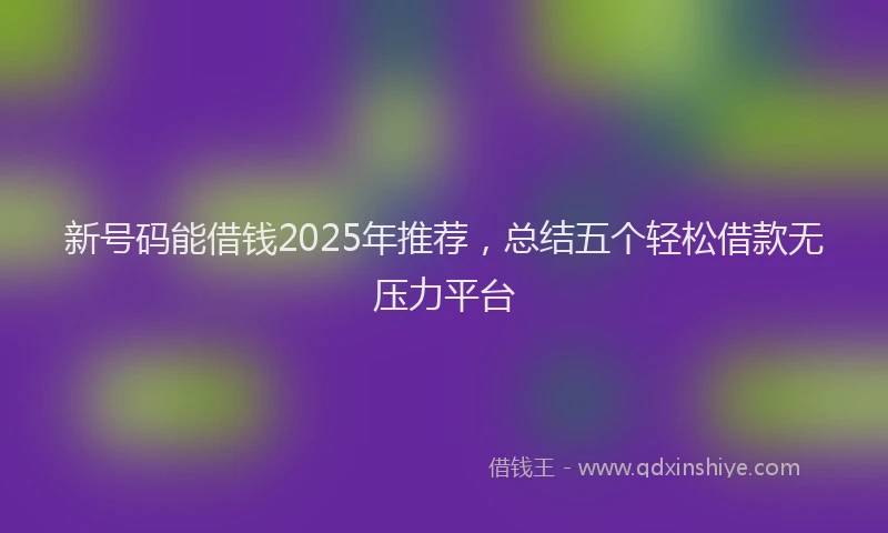 新号码能借钱2025年推荐，总结五个轻松借款无压力平台