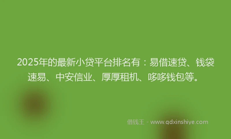 2025年的最新小贷平台排名有：易借速贷、钱袋速易、中安信业、厚厚租机、哆哆钱包等。