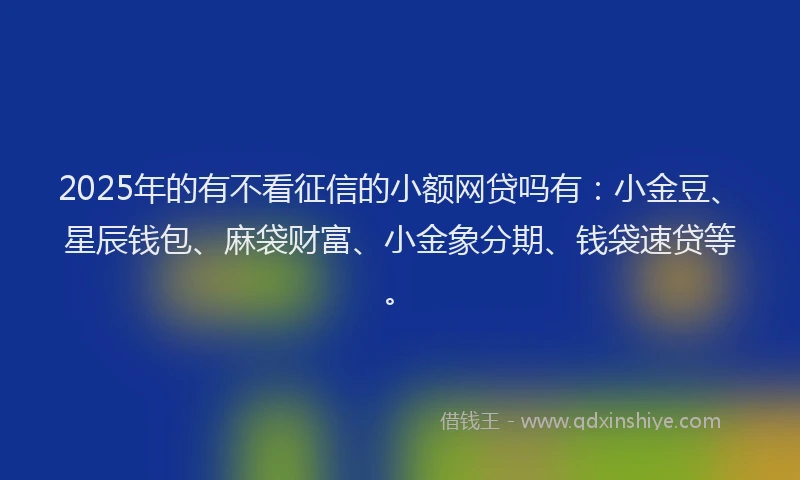 2025年的有不看征信的小额网贷吗有：小金豆、星辰钱包、麻袋财富、小金象分期、钱袋速贷等。