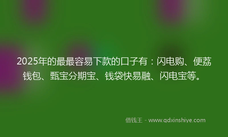 2025年的最最容易下款的口子有：闪电购、便荔钱包、甄宝分期宝、钱袋快易融、闪电宝等。
