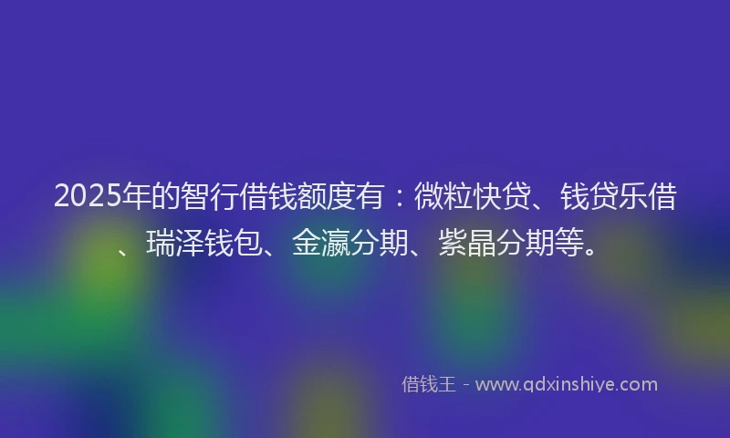 2025年的智行借钱额度有：微粒快贷、钱贷乐借、瑞泽钱包、金瀛分期、紫晶分期等。