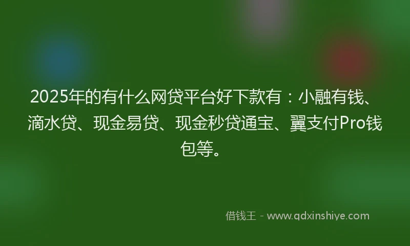 2025年的有什么网贷平台好下款有：小融有钱、滴水贷、现金易贷、现金秒贷通宝、翼支付Pro钱包等。