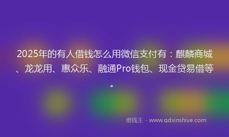 2025年的有人借钱怎么用微信支付有：麒麟商城、龙龙用、惠众乐、融通Pro钱包、现金贷易借等。