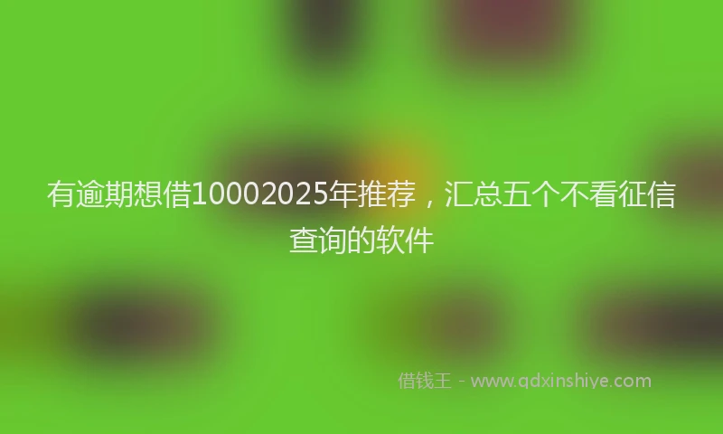 有逾期想借10002025年推荐，汇总五个不看征信查询的软件