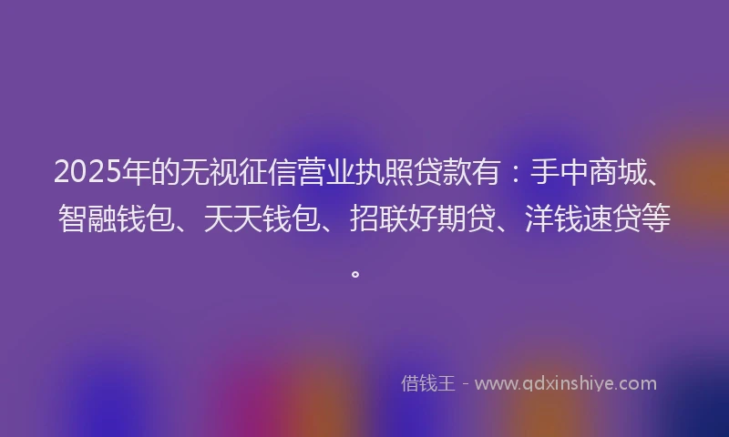 2025年的无视征信营业执照贷款有：手中商城、智融钱包、天天钱包、招联好期贷、洋钱速贷等。