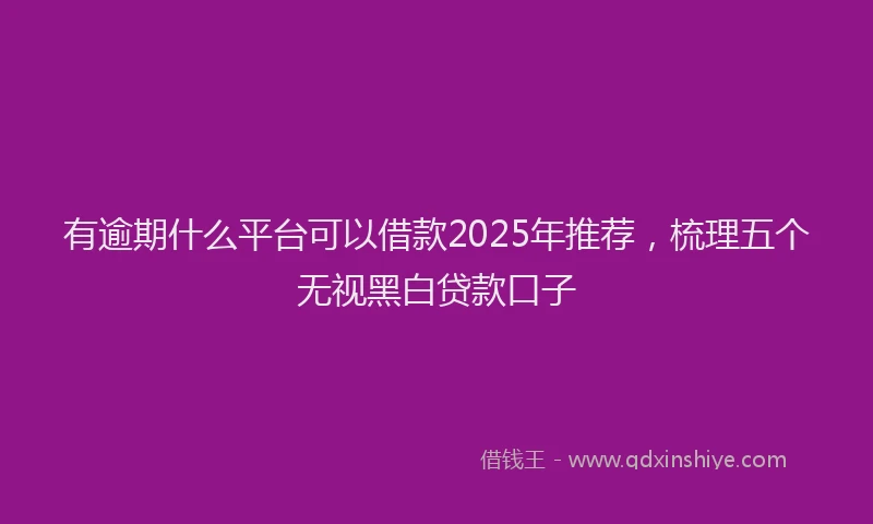 有逾期什么平台可以借款2025年推荐，梳理五个无视黑白贷款口子