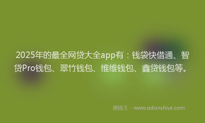 2025年的最全网贷大全app有：钱袋快借通、智贷Pro钱包、翠竹钱包、维维钱包、鑫贷钱包等。