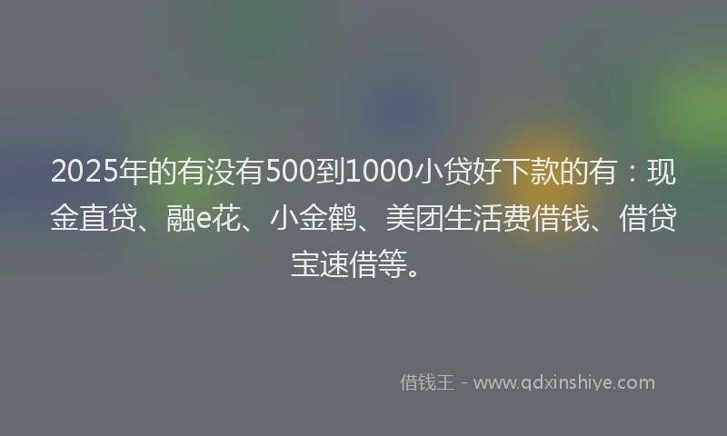 2025年的有没有500到1000小贷好下款的有：现金直贷、融e花、小金鹤、美团生活费借钱、借贷宝速借等。