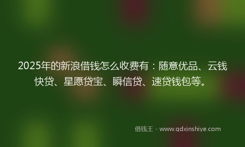 2025年的新浪借钱怎么收费有：随意优品、云钱快贷、星愿贷宝、瞬信贷、速贷钱包等。
