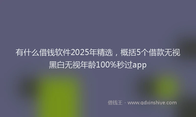 有什么借钱软件2025年精选，概括5个借款无视黑白无视年龄100%秒过app