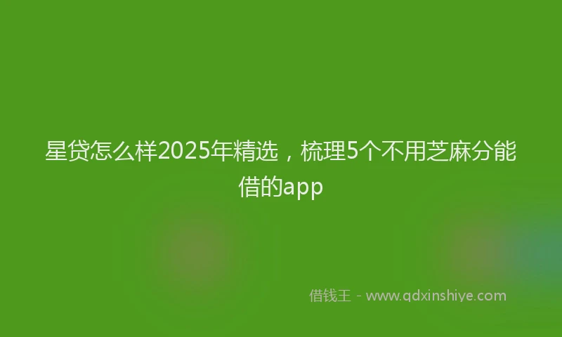 星贷怎么样2025年精选，梳理5个不用芝麻分能借的app