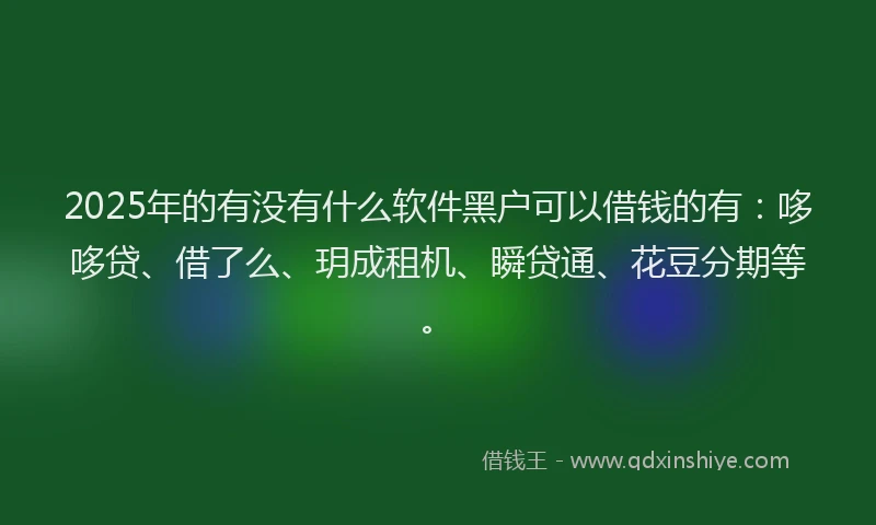 2025年的有没有什么软件黑户可以借钱的有：哆哆贷、借了么、玥成租机、瞬贷通、花豆分期等。