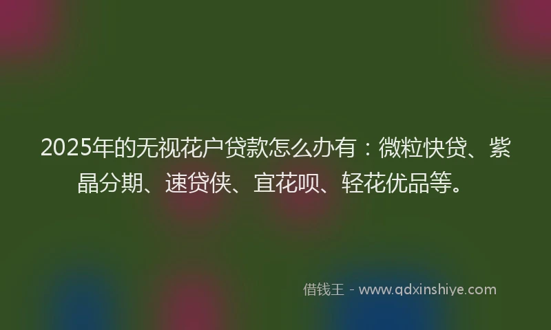2025年的无视花户贷款怎么办有：微粒快贷、紫晶分期、速贷侠、宜花呗、轻花优品等。