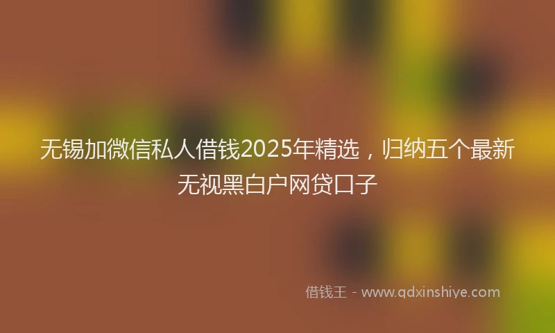 无锡加微信私人借钱2025年精选，归纳五个最新无视黑白户网贷口子