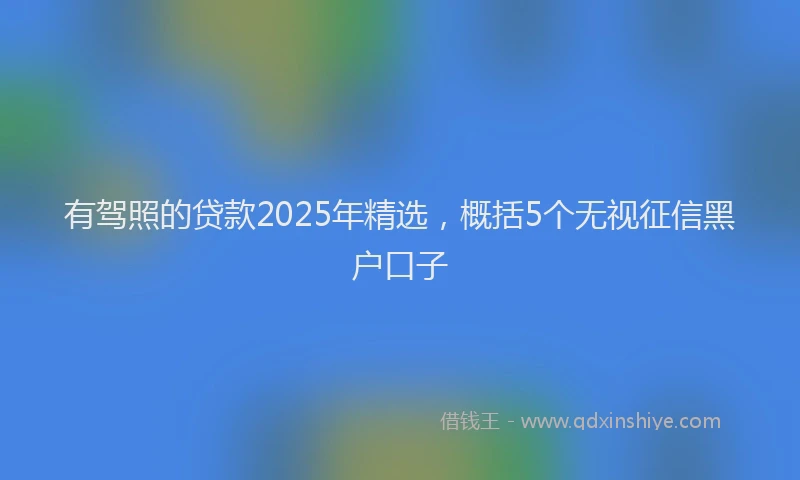 有驾照的贷款2025年精选，概括5个无视征信黑户口子