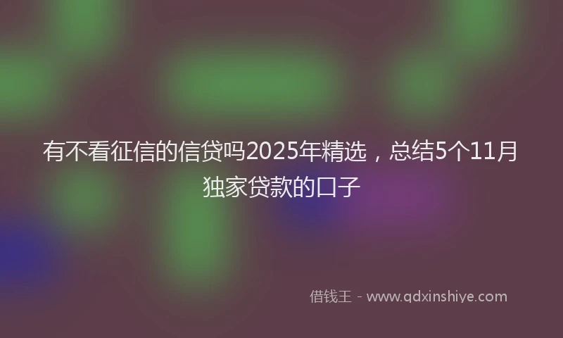 有不看征信的信贷吗2025年精选，总结5个11月独家贷款的口子