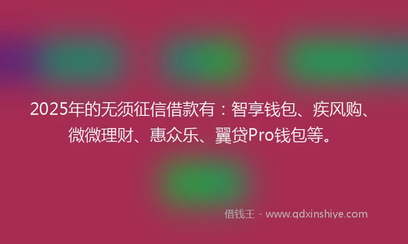 2025年的无须征信借款有：智享钱包、疾风购、微微理财、惠众乐、翼贷Pro钱包等。