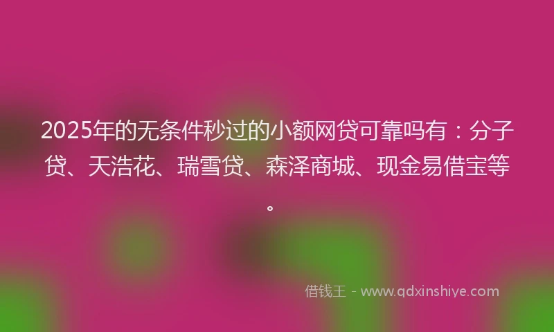 2025年的无条件秒过的小额网贷可靠吗有：分子贷、天浩花、瑞雪贷、森泽商城、现金易借宝等。
