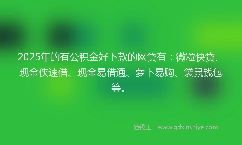 2025年的有公积金好下款的网贷有：微粒快贷、现金侠速借、现金易借通、萝卜易购、袋鼠钱包等。