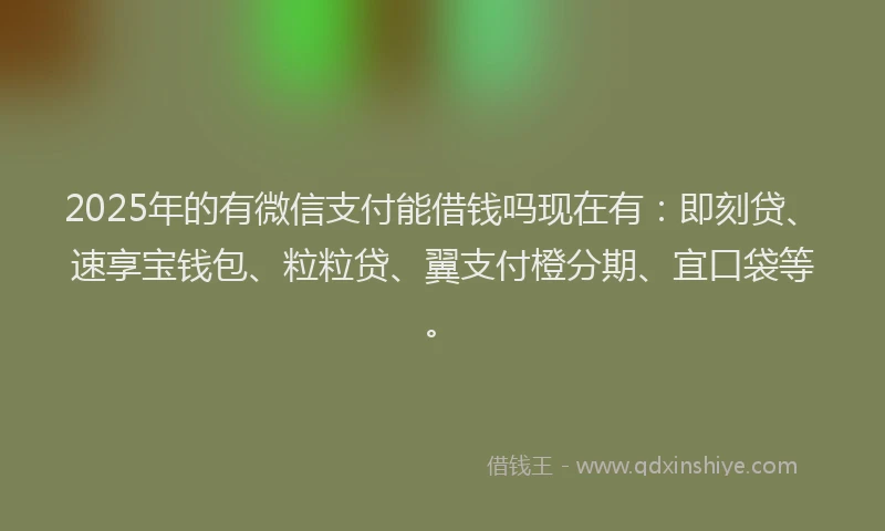 2025年的有微信支付能借钱吗现在有：即刻贷、速享宝钱包、粒粒贷、翼支付橙分期、宜口袋等。