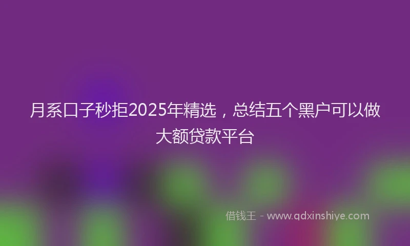 月系口子秒拒2025年精选，总结五个黑户可以做大额贷款平台