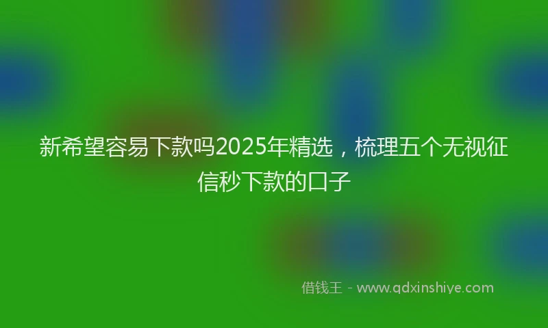 新希望容易下款吗2025年精选，梳理五个无视征信秒下款的口子