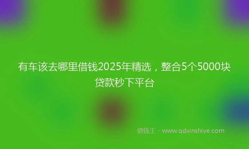 有车该去哪里借钱2025年精选，整合5个5000块贷款秒下平台