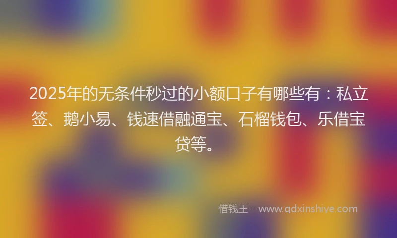 2025年的无条件秒过的小额口子有哪些有：私立签、鹅小易、钱速借融通宝、石榴钱包、乐借宝贷等。