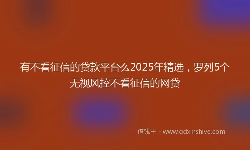 有不看征信的贷款平台么2025年精选，罗列5个无视风控不看征信的网贷
