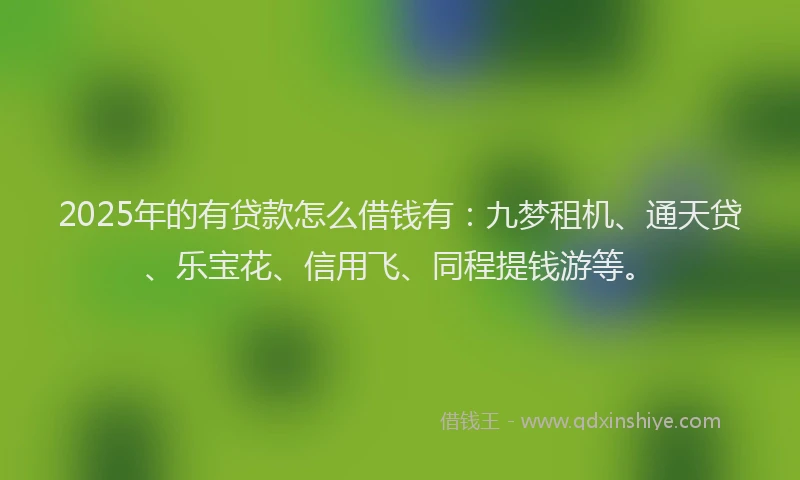 2025年的有贷款怎么借钱有：九梦租机、通天贷、乐宝花、信用飞、同程提钱游等。