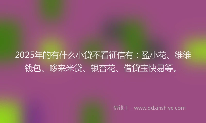 2025年的有什么小贷不看征信有：盈小花、维维钱包、哆来米贷、银杏花、借贷宝快易等。