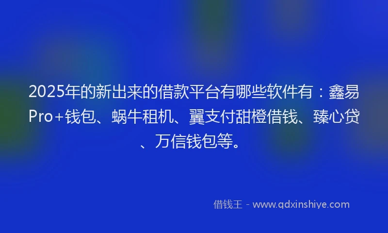 2025年的新出来的借款平台有哪些软件有：鑫易Pro+钱包、蜗牛租机、翼支付甜橙借钱、臻心贷、万信钱包等。
