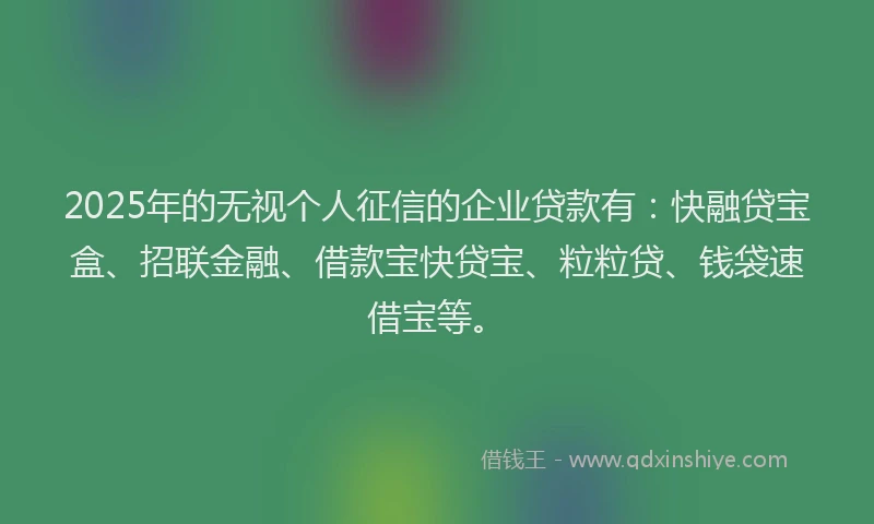 2025年的无视个人征信的企业贷款有：快融贷宝盒、招联金融、借款宝快贷宝、粒粒贷、钱袋速借宝等。
