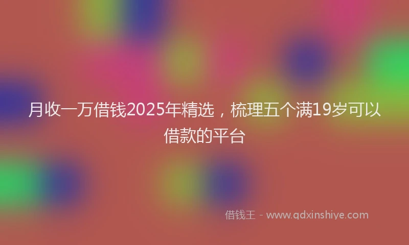 月收一万借钱2025年精选，梳理五个满19岁可以借款的平台