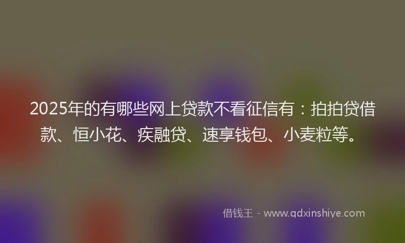 2025年的有哪些网上贷款不看征信有：拍拍贷借款、恒小花、疾融贷、速享钱包、小麦粒等。