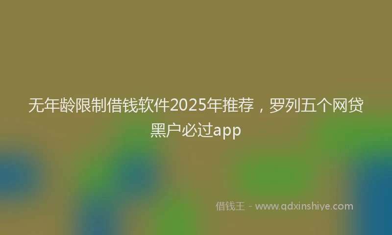 无年龄限制借钱软件2025年推荐，罗列五个网贷黑户必过app
